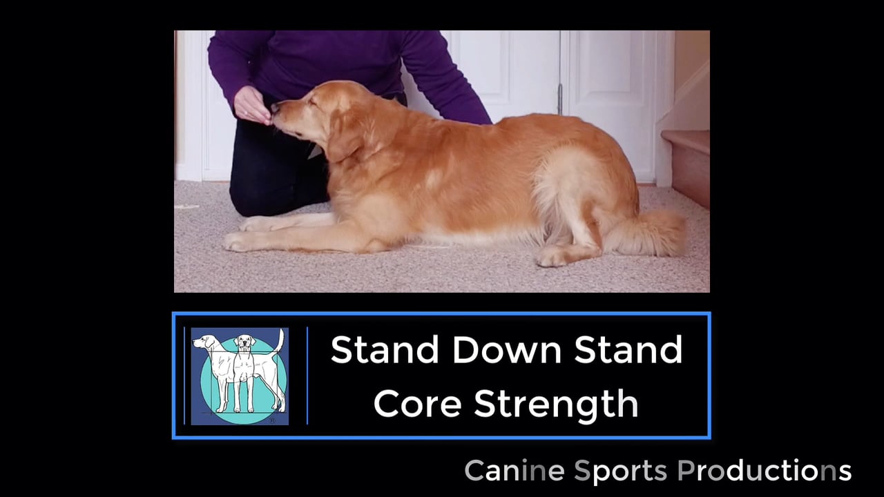 C7 - Stand Down Stand (SDS)