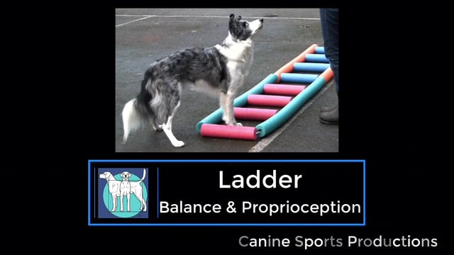 B&P1 -  Ladder Exercise (LAD)