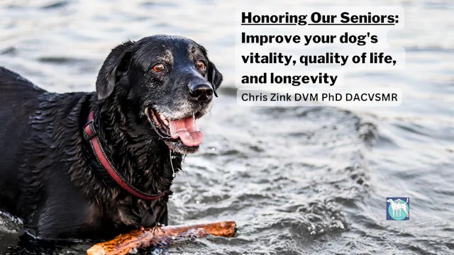 Honoring Our Senior Dogs Webinar