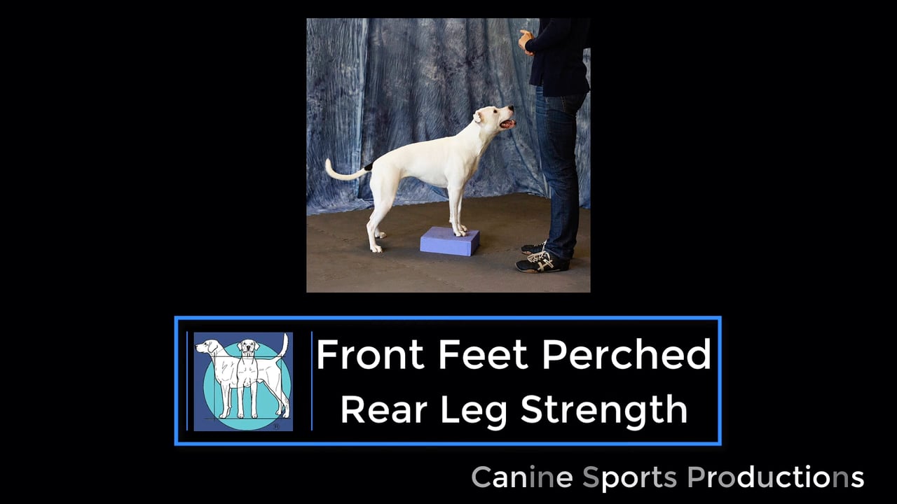 RL5 - Front Feet Perched (FFP)