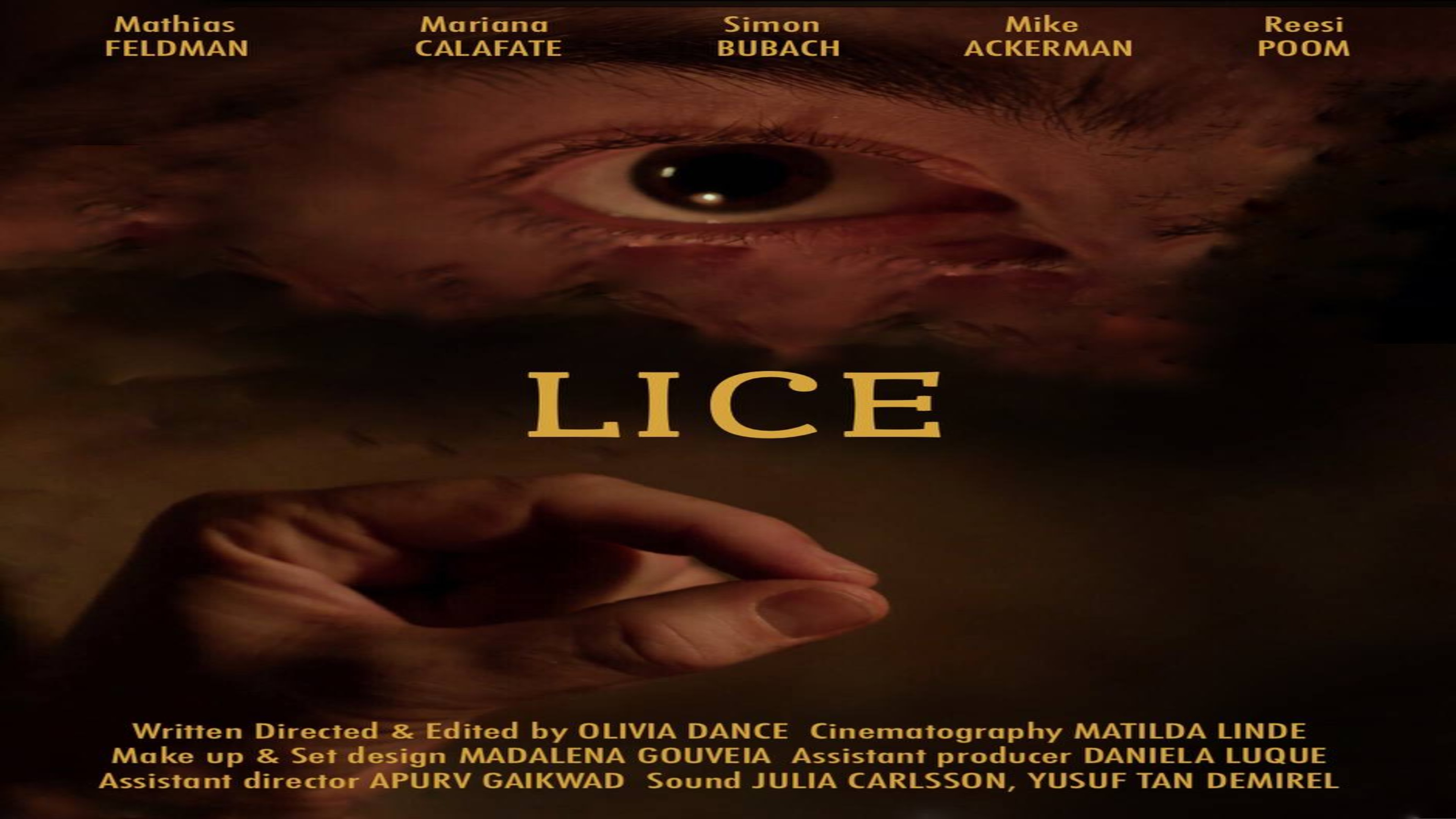 Lice