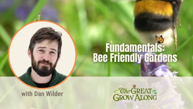 Fundamentals: Bee Friendly Gardens