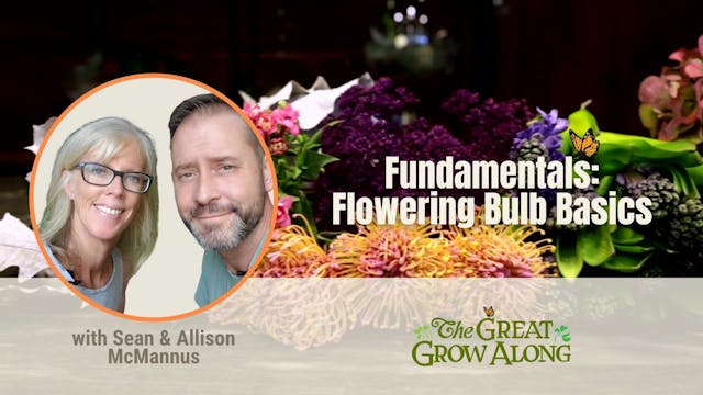 Fundamentals: Flowering Bulb Basics