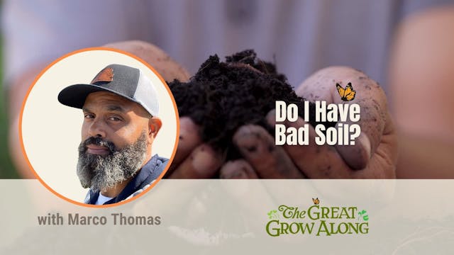 Do I Have Bad Soil?