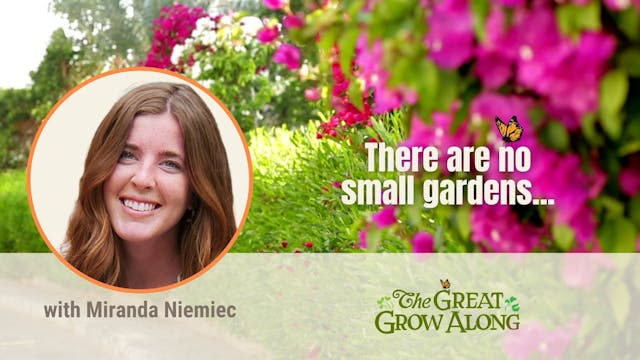 There Are No Small Gardens…