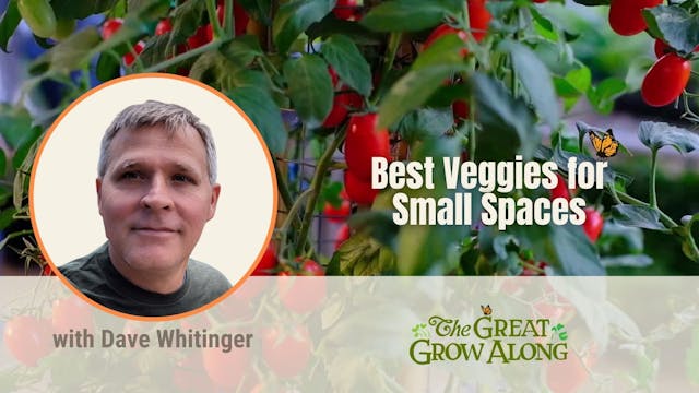 Best Veggies for Small Spaces