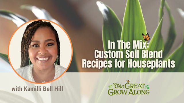 Custom Houseplant Soil Blend Recipes
