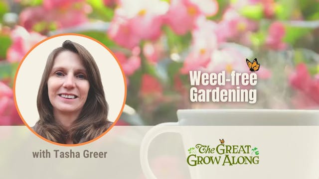 Weed-free Gardening
