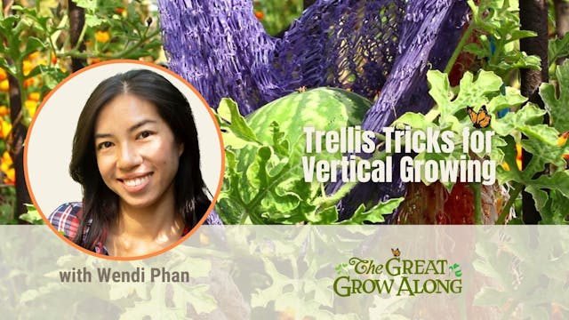 Trellis Tricks for Vertical Growing