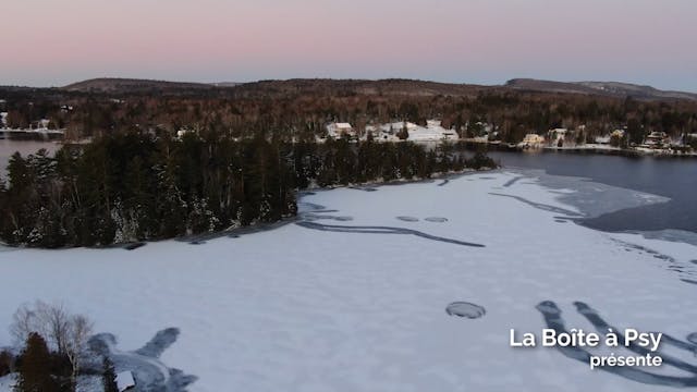 TDAH - Capsule - Extra - 2