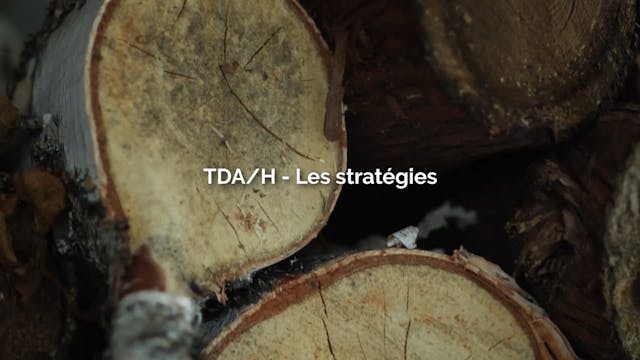 TDAH - Capsule - Extra - 1