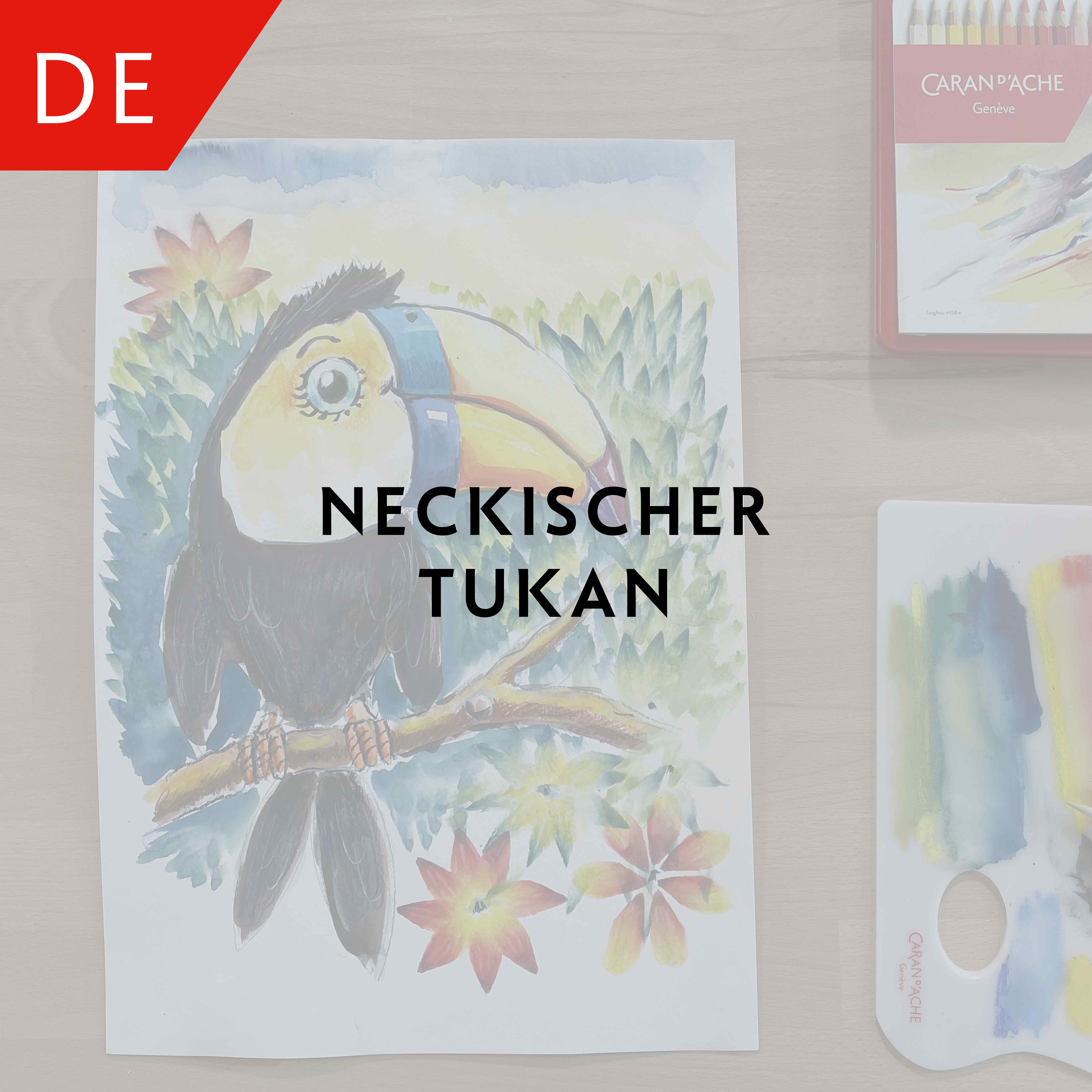 Neckischer Tukan – Adrian Weber