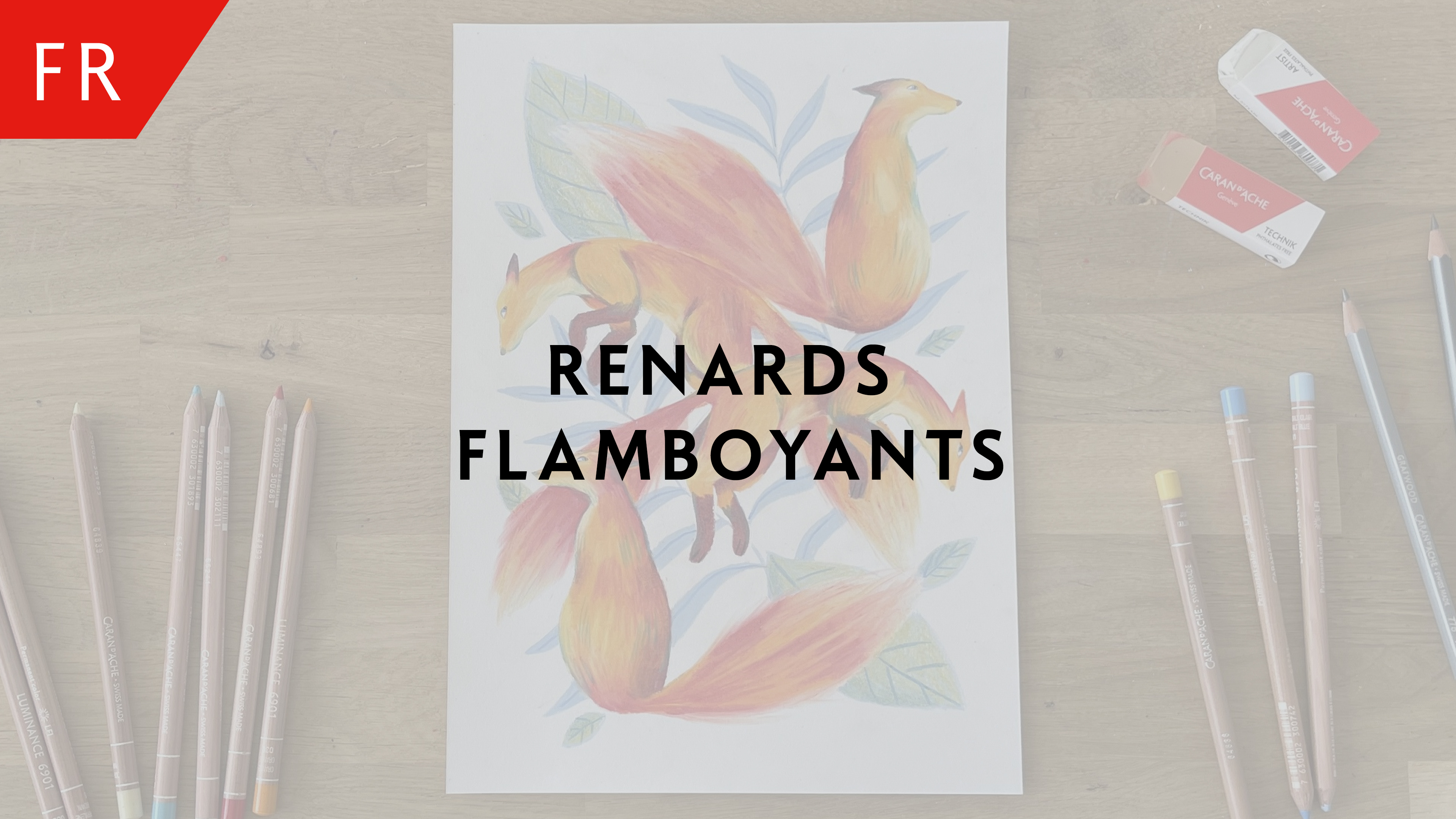 Renards flamboyants – Ambre Verschaeve