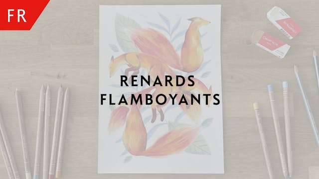 Renards flamboyants