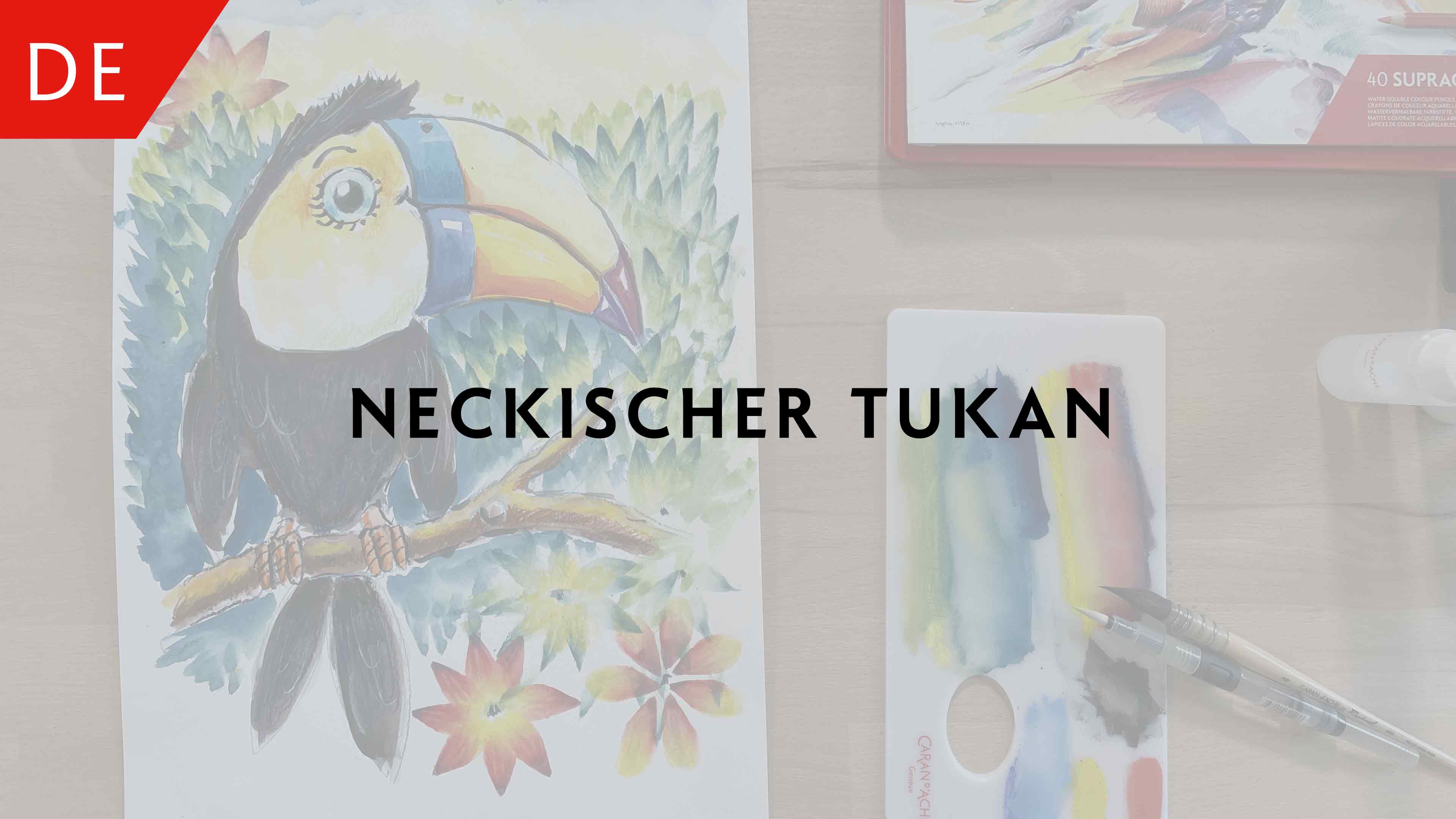 Neckischer Tukan – Adrian Weber