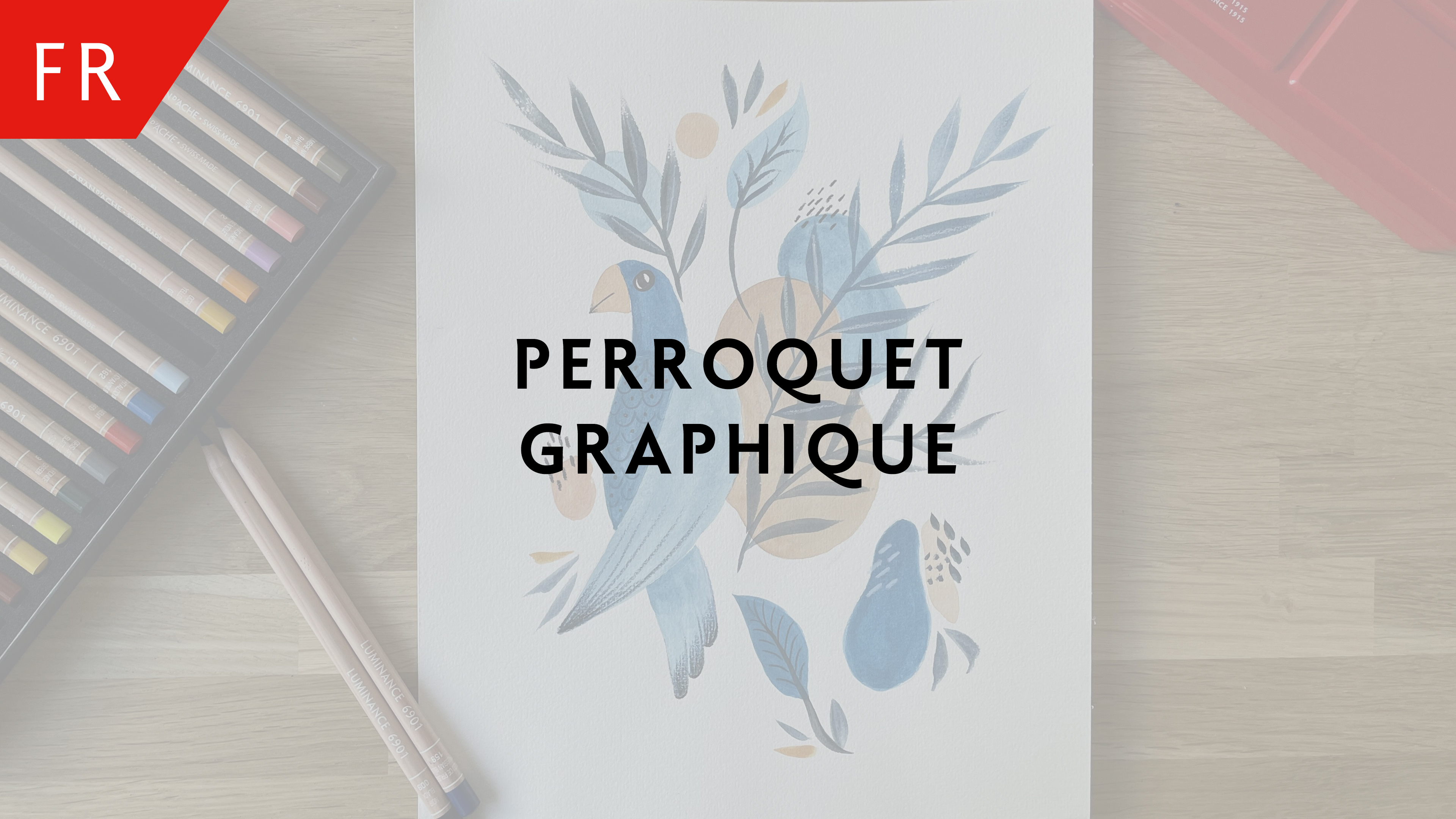Perroquet graphique – Julie Thomas