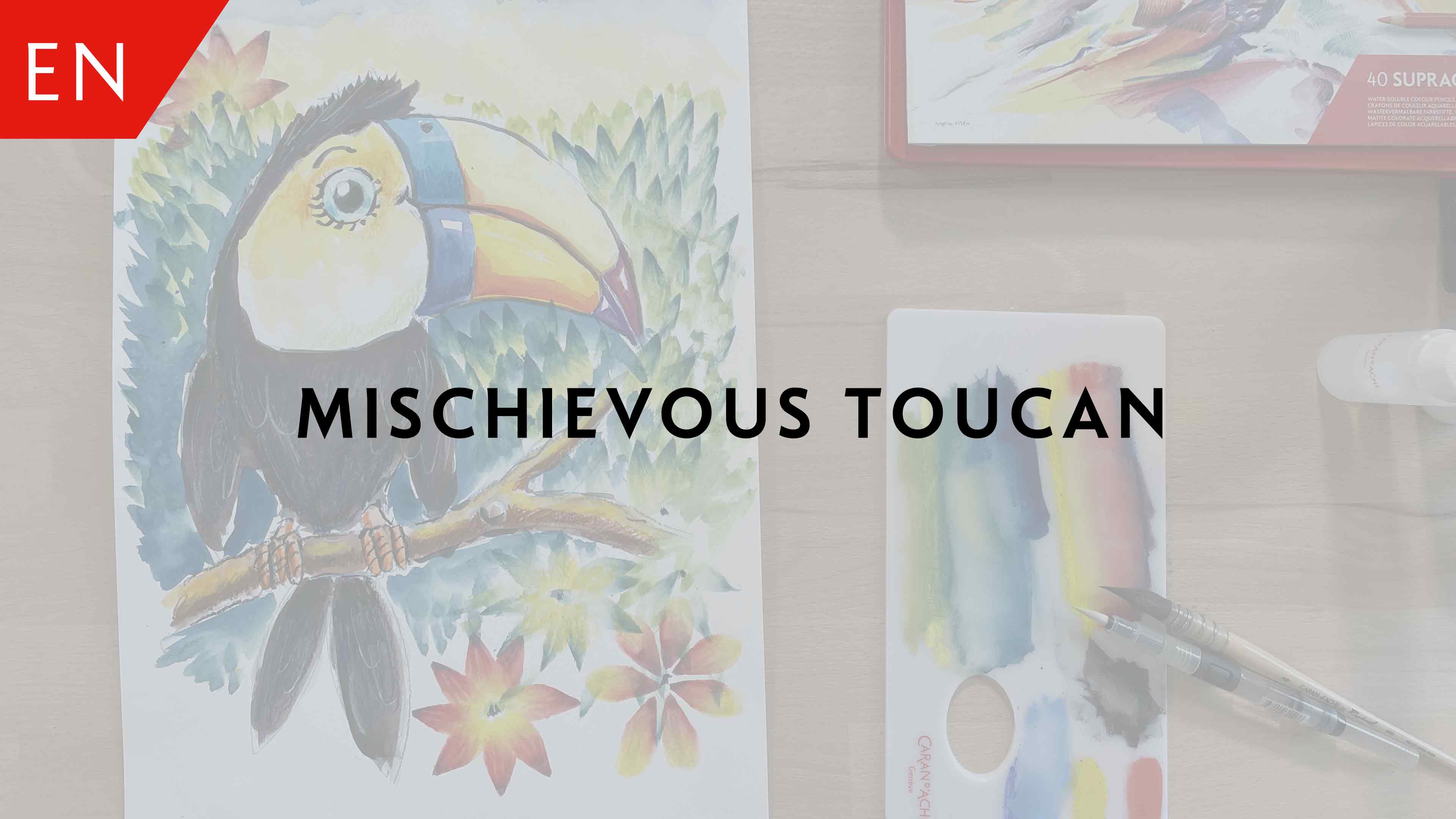 Mischievous toucan – Adrian Weber