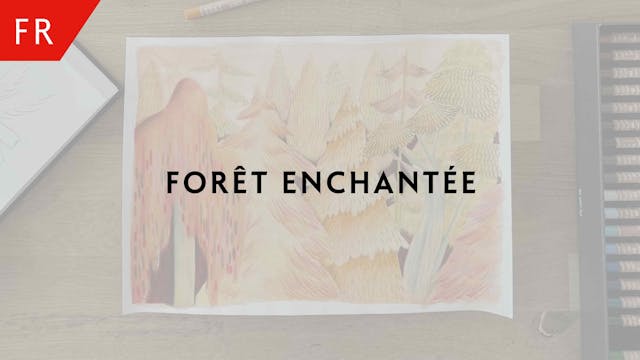 Forêt enchantée – Ambre Verschaeve