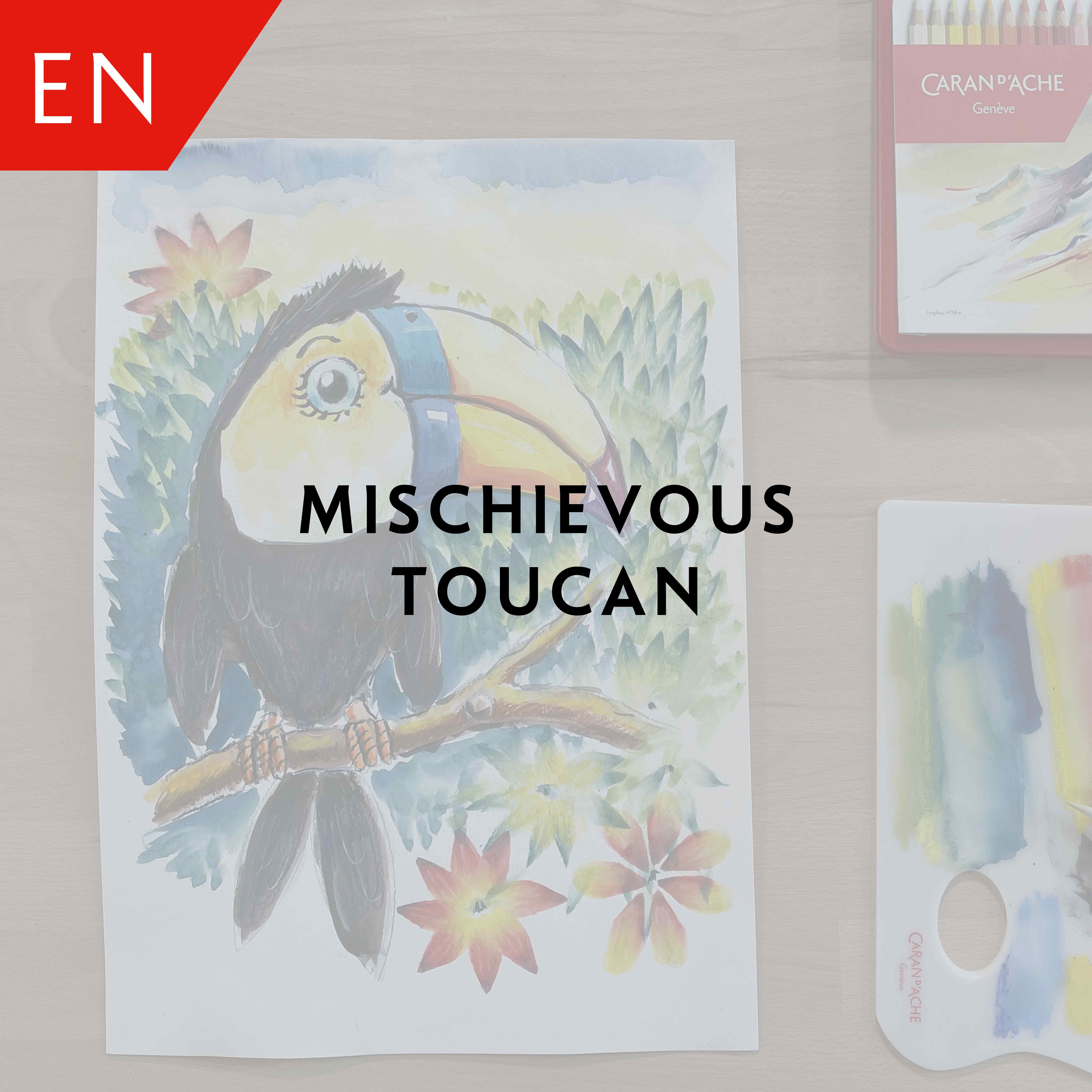 Mischievous toucan – Adrian Weber