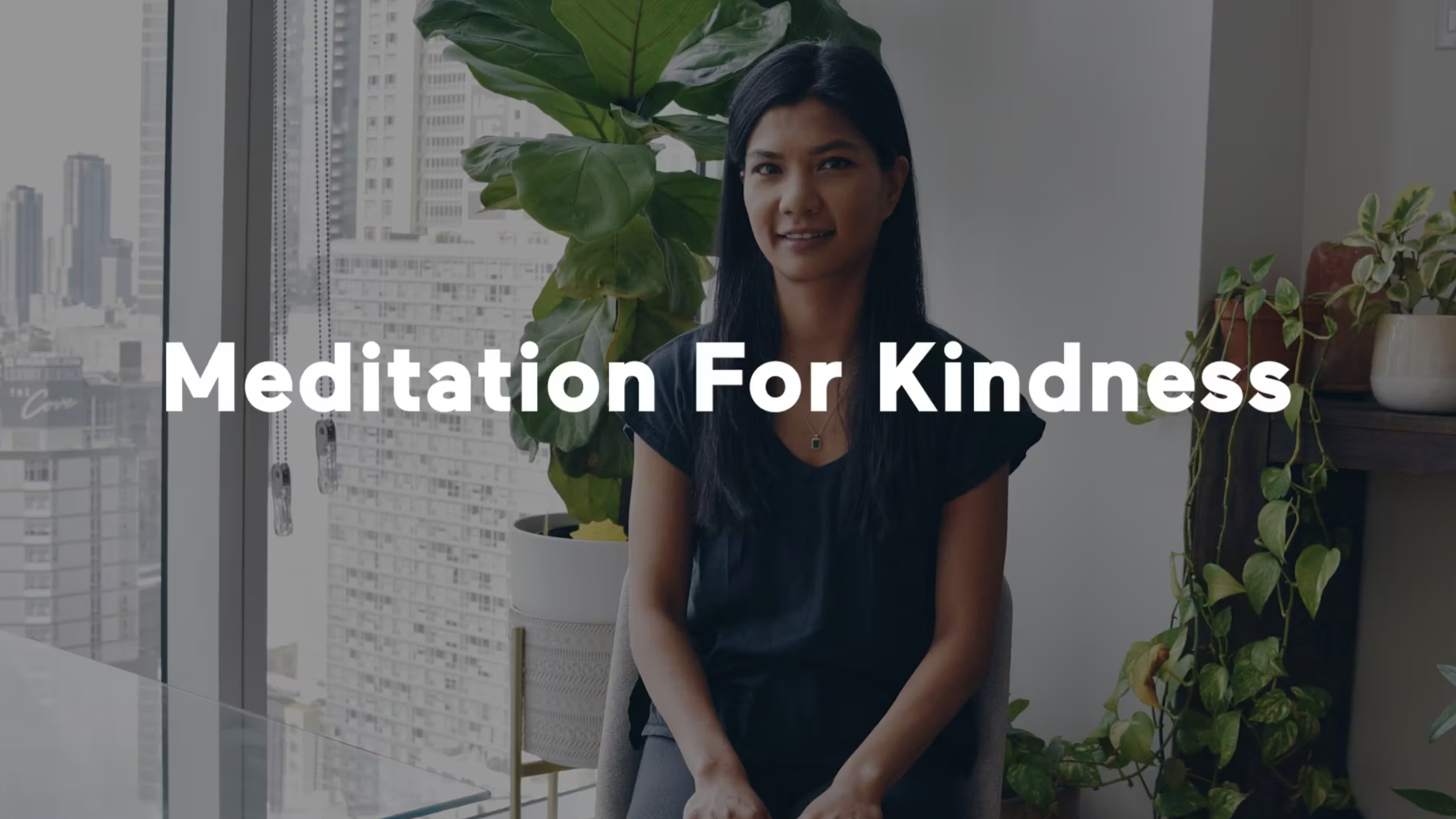 Workshop: Meditation For Kindness II