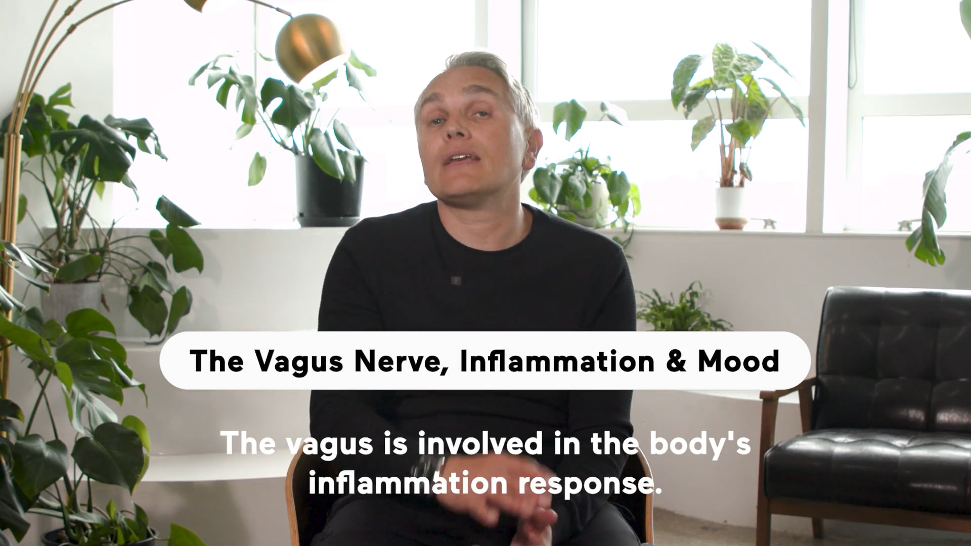 The Vagus Nerve, Inflammation, & Mood (Highlight)