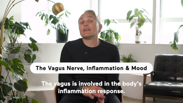 The Vagus Nerve, Inflammation, & Mood...