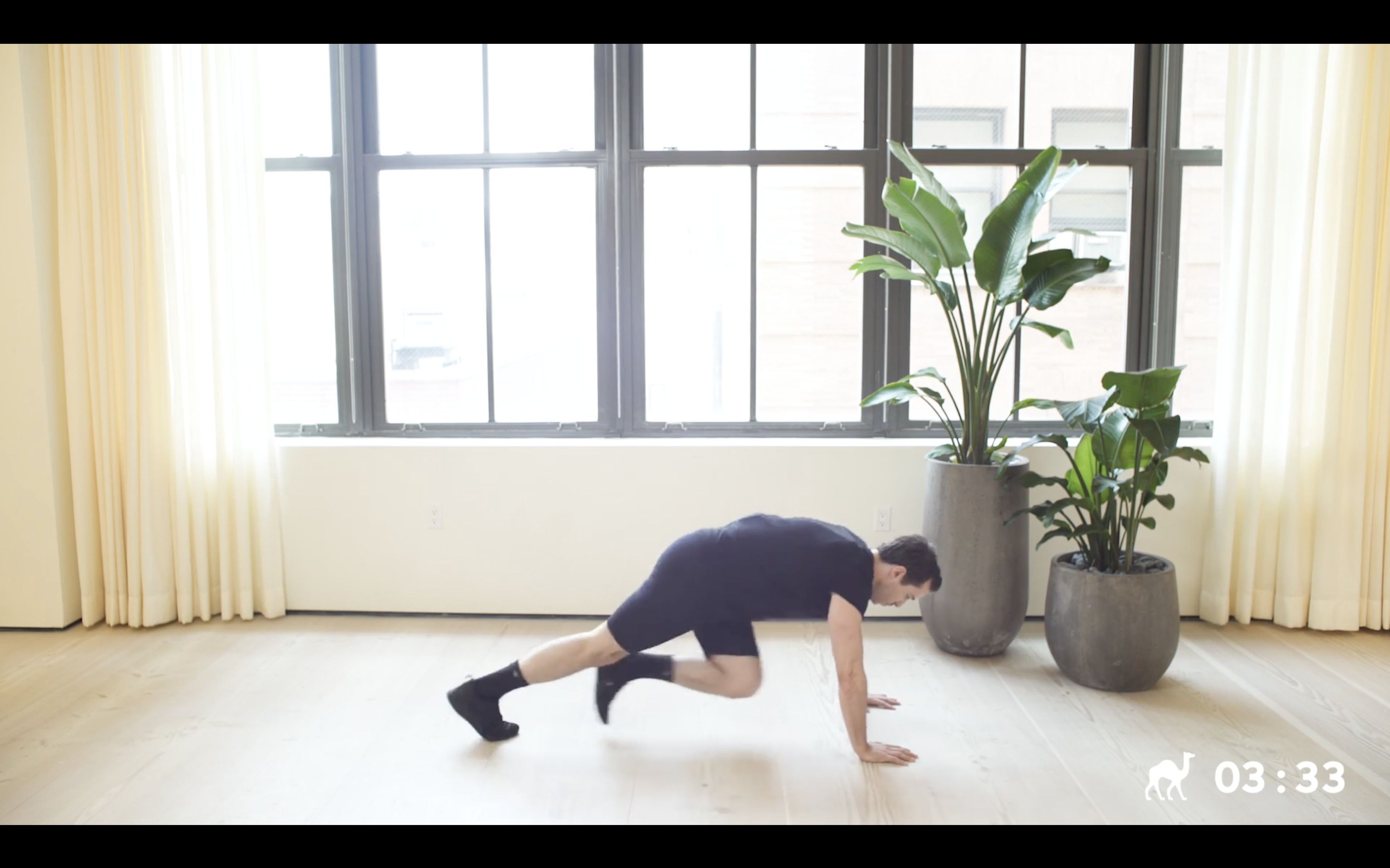 MORNING: Plyo & Cardio (Beginner)