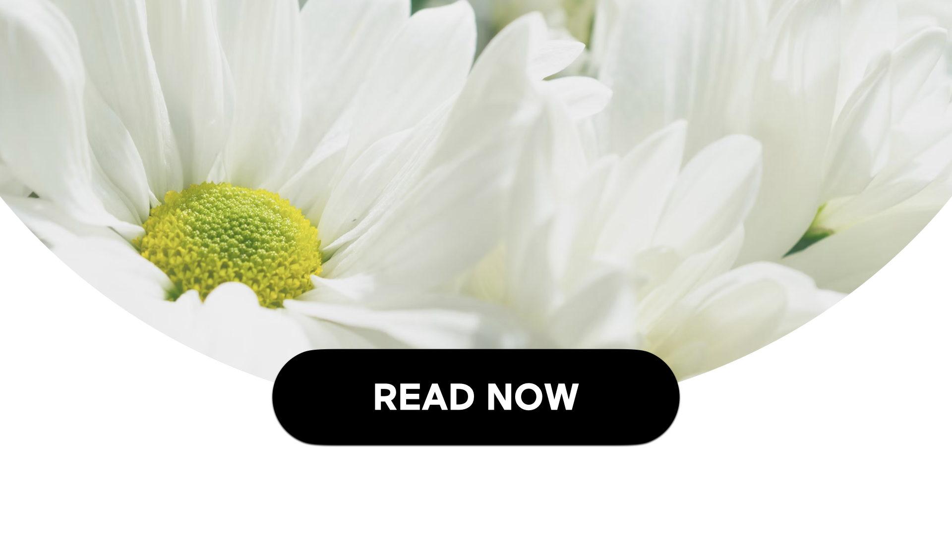 Potential Costs & Considerations For End-Of-Life Planning (3 Min Read)