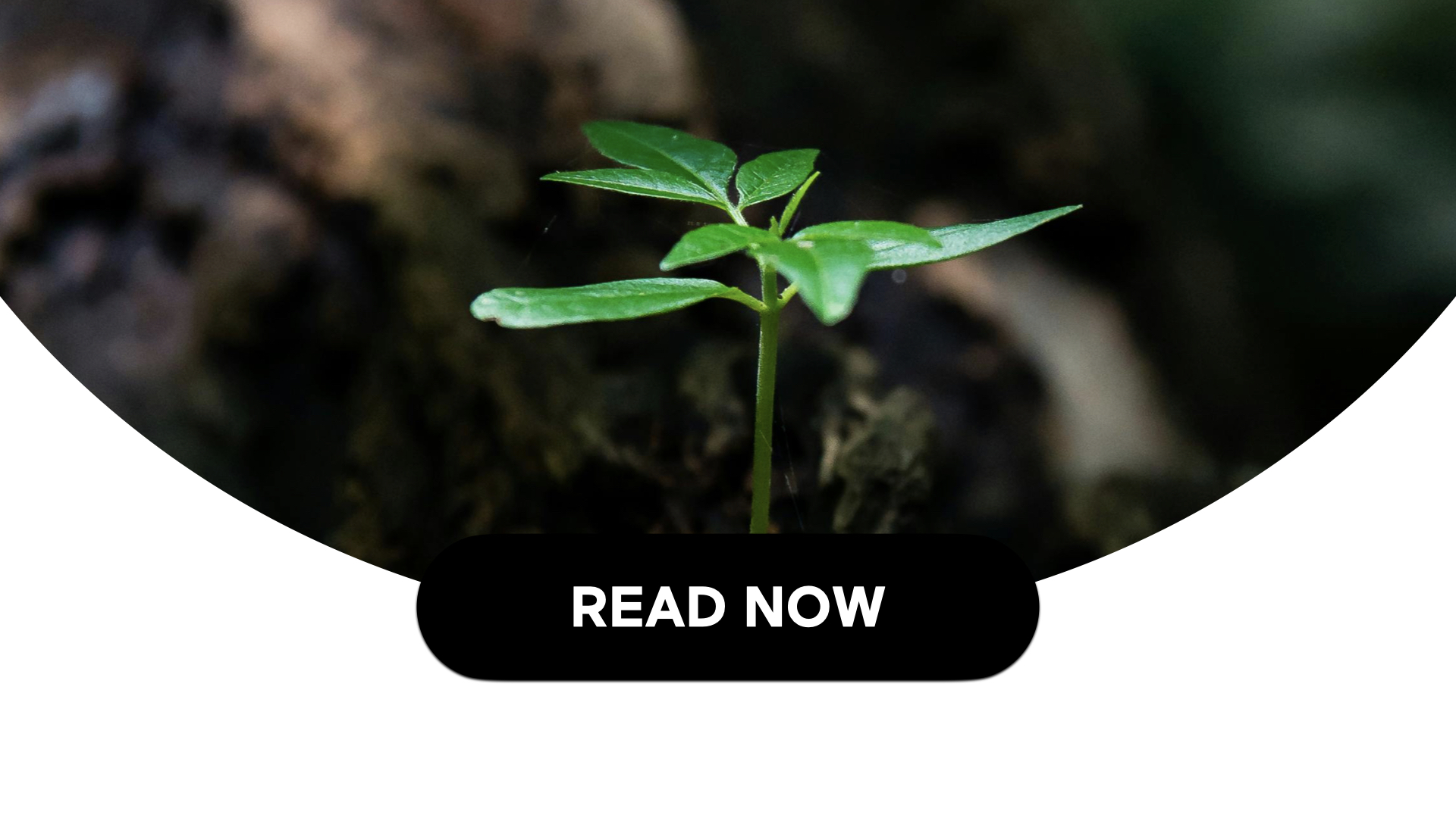 Having Resilience Through All Of Life's Moments (2 Min Read)