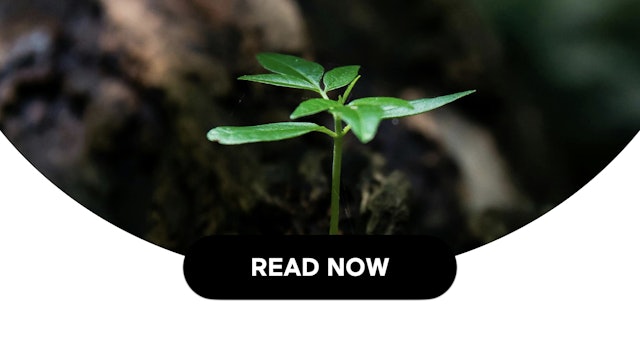Having Resilience Through All Of Life's Moments (2 Min Read)