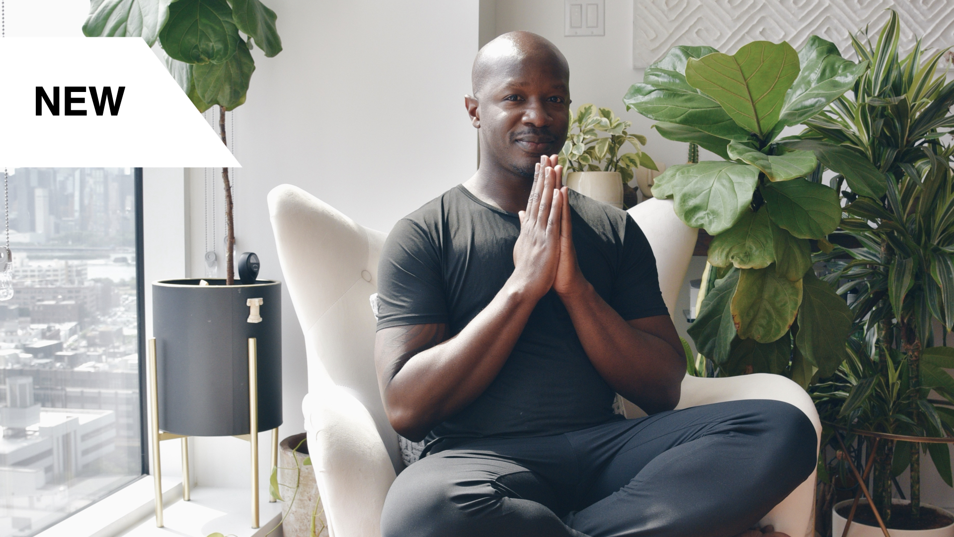 Seated Stretch & Mobility Flow