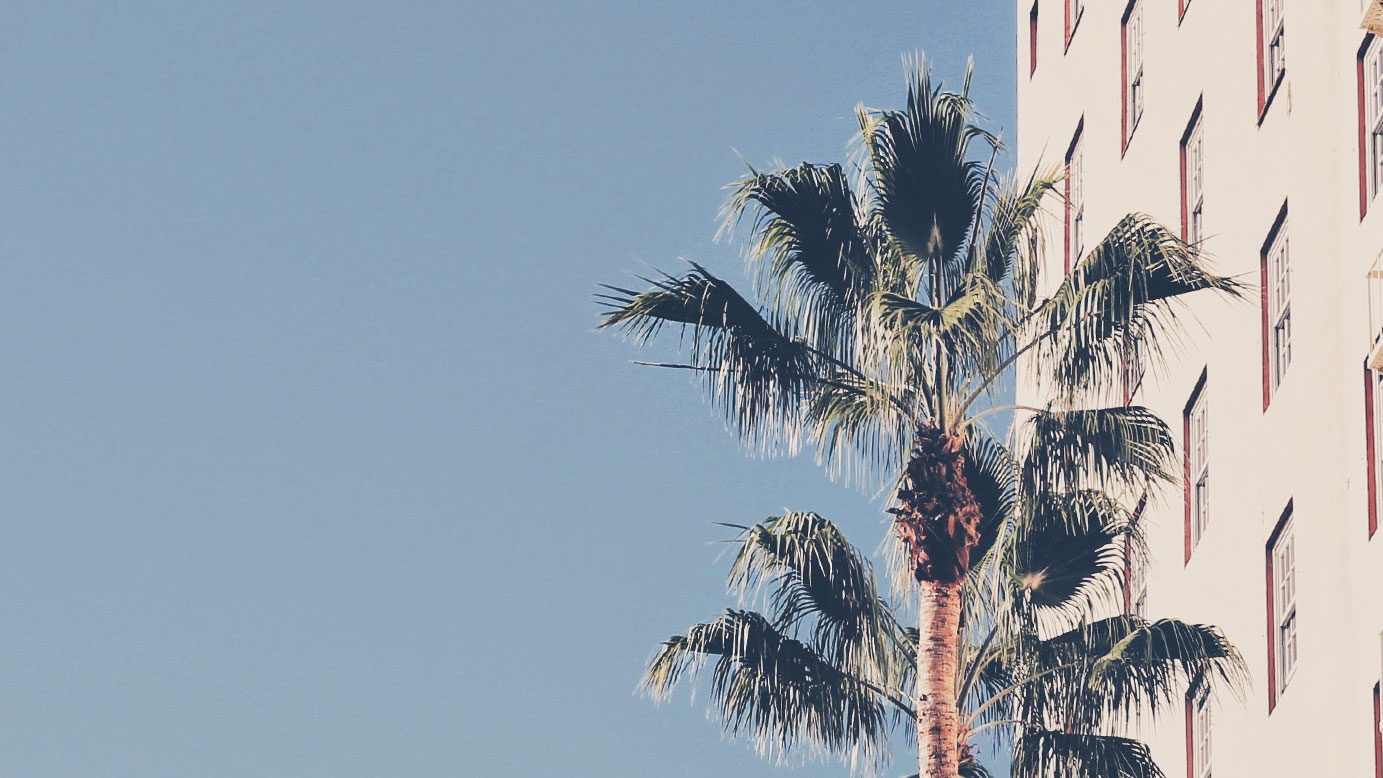 Yoga Sculpt Beginner