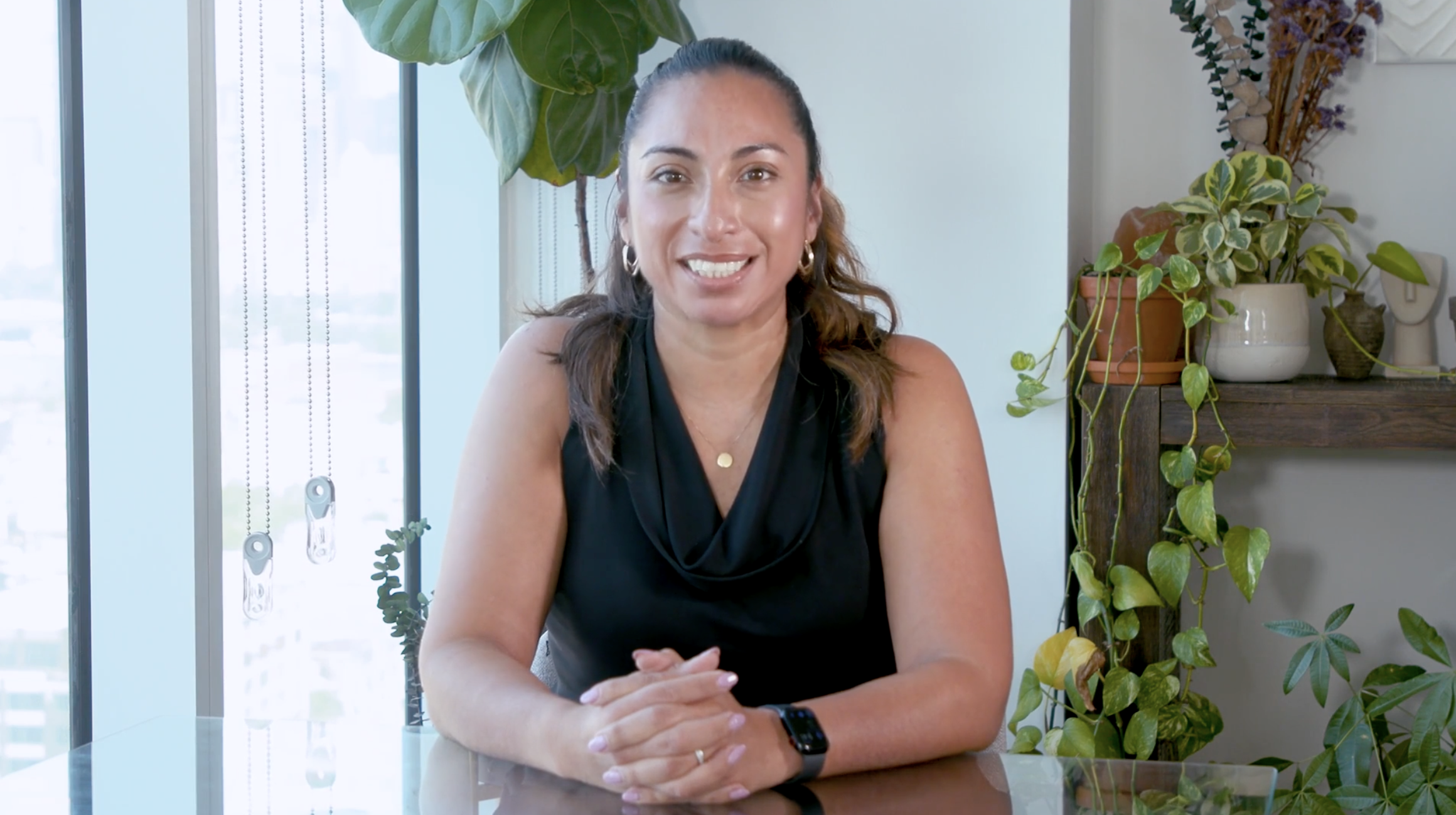 Presupuesto 101 (Español)