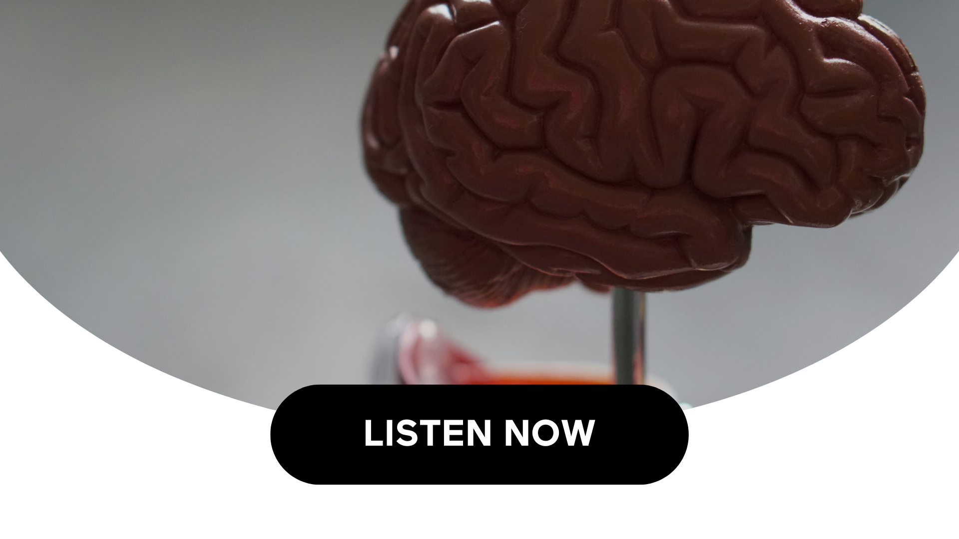 Understanding The Basics Of Dementia (Audio)