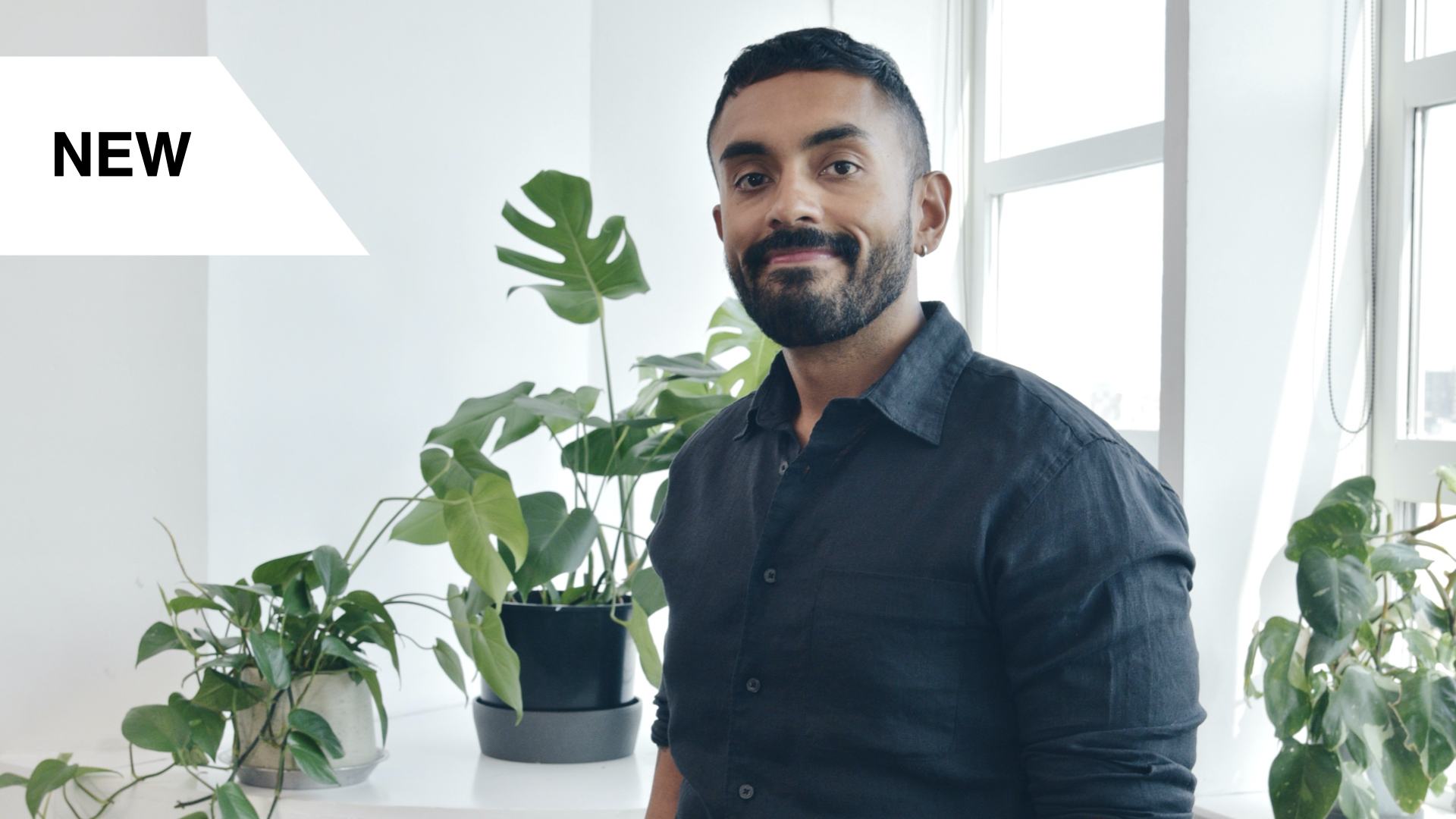 Understanding Allergies & Immunity