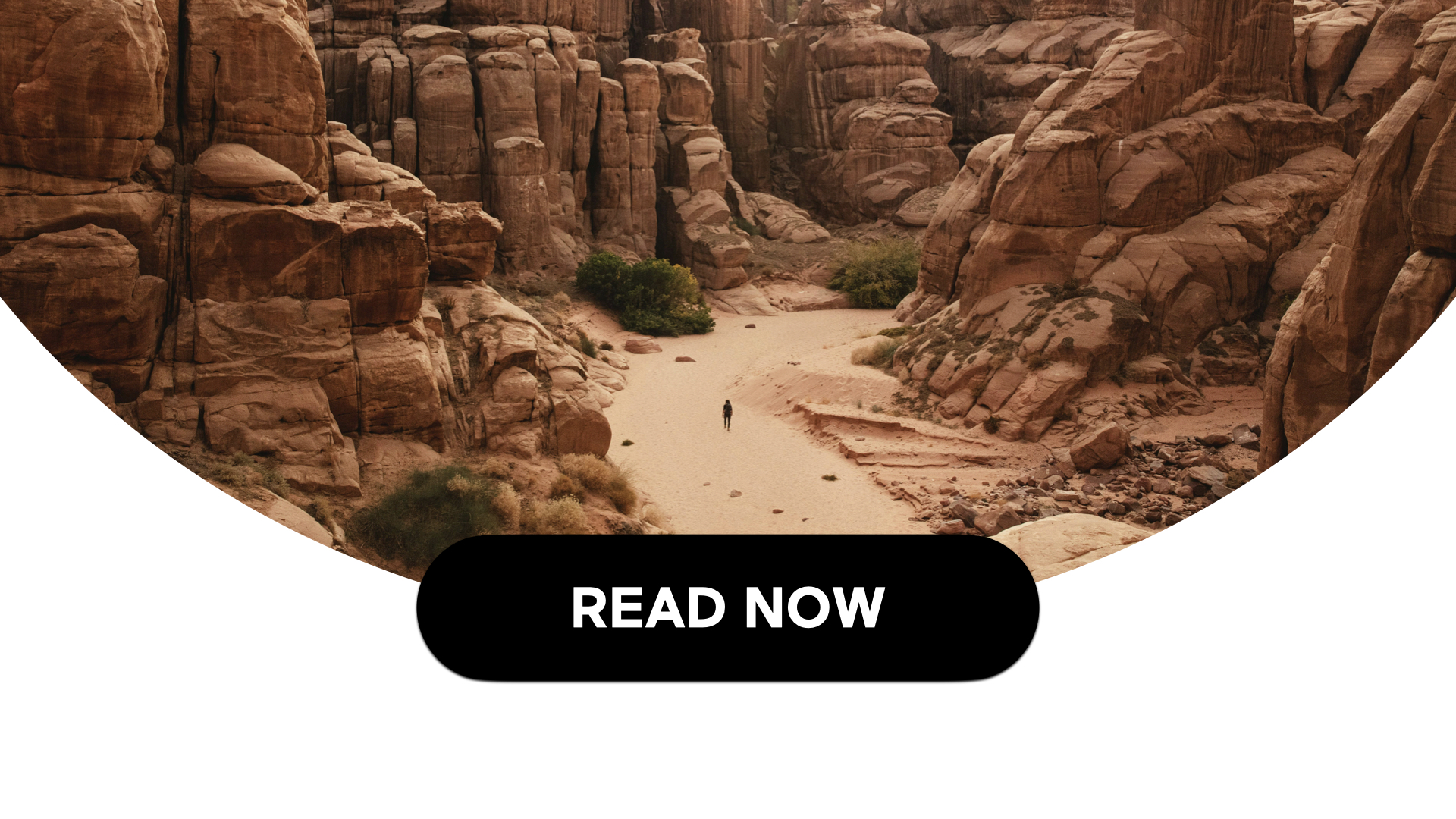 The Power Of Mindset For Peak Performance (2 Min Read) 