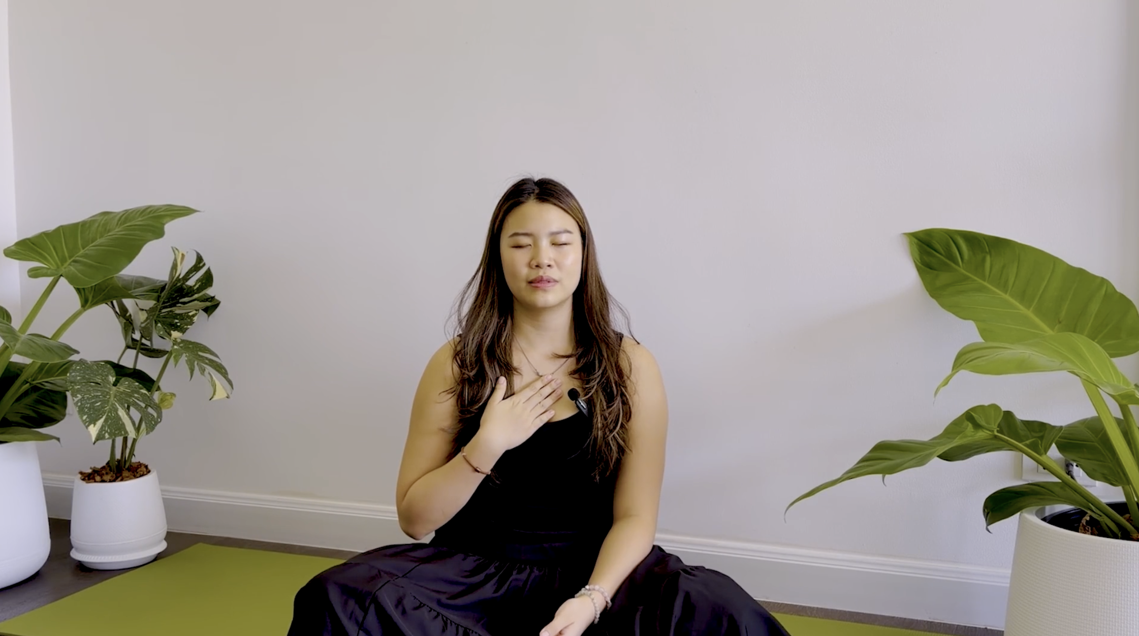 เมตตาสมาธิ (ภาษาไทย)