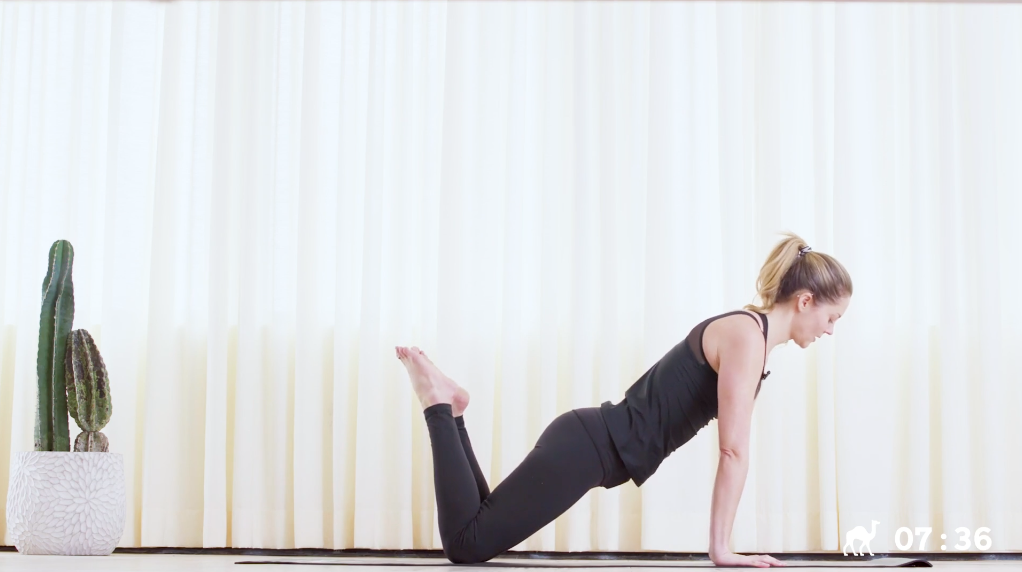 15 Min Pilates Arms Workout