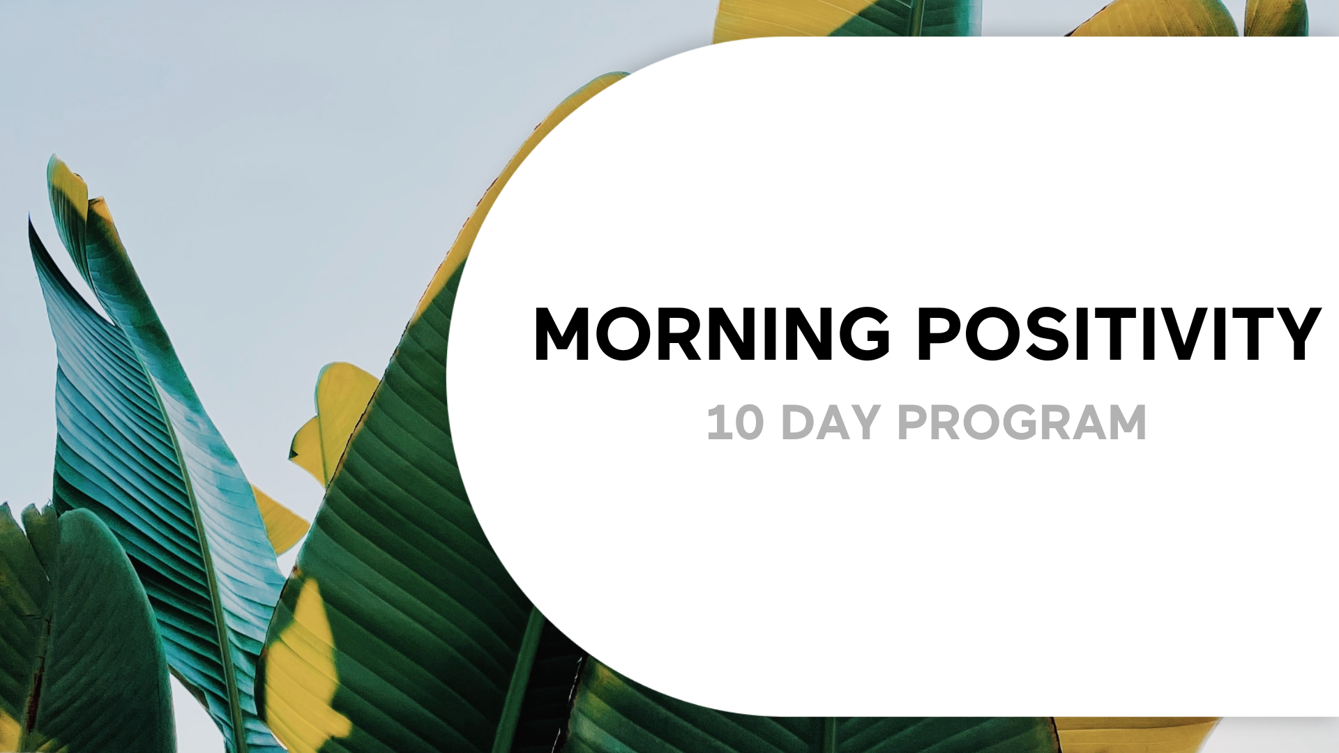 10 Day Morning Positivity