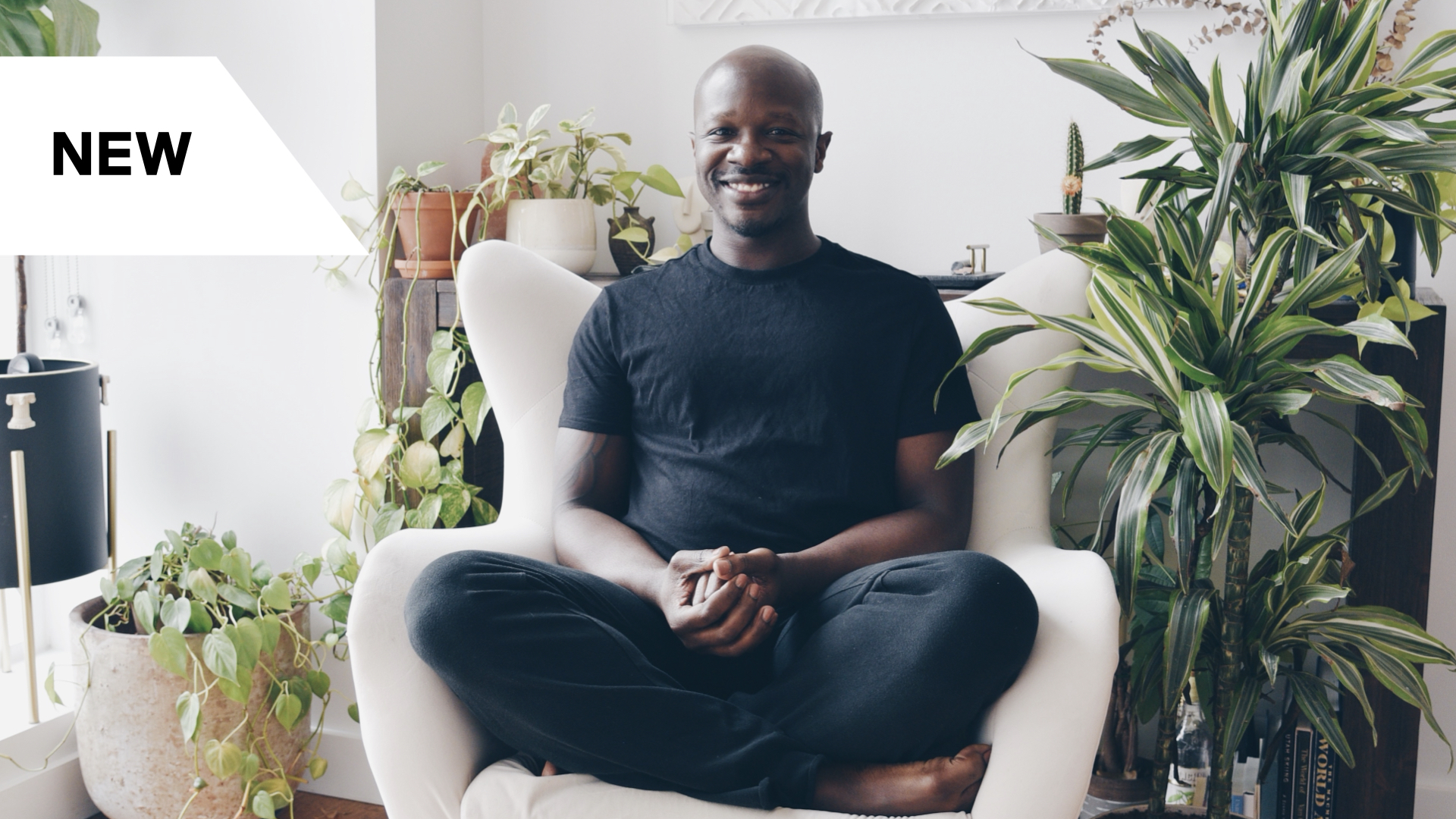 Meditations For Energy Renewal