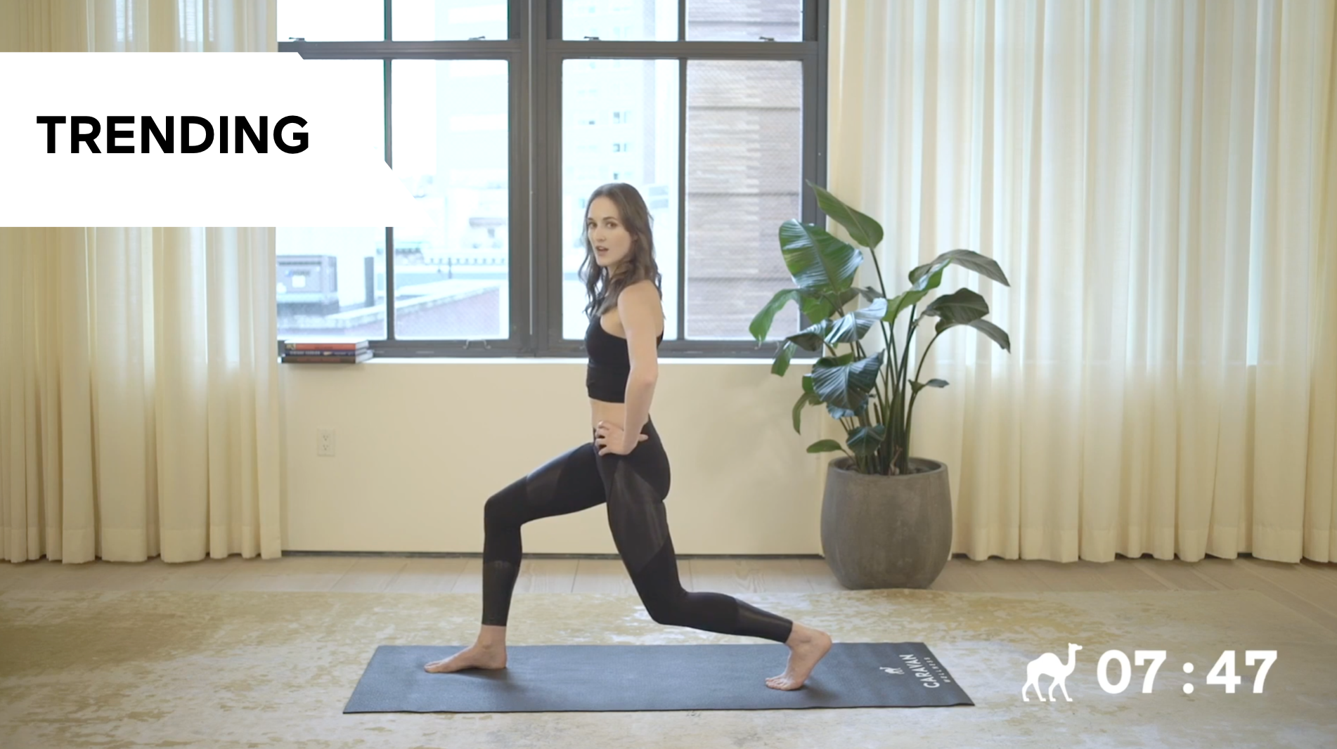 10 Min Beginner Barre