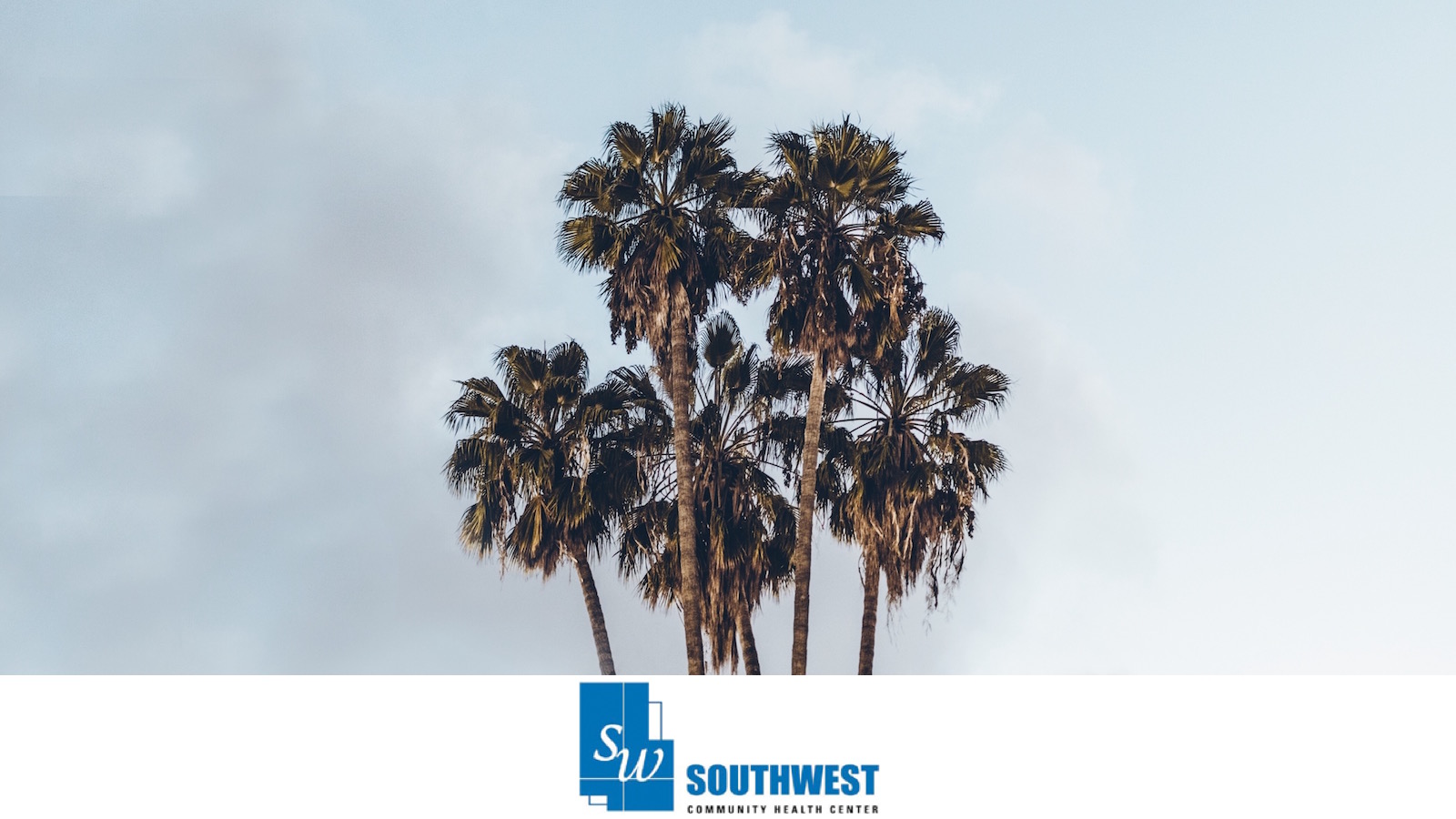 Mindfulness On The Go