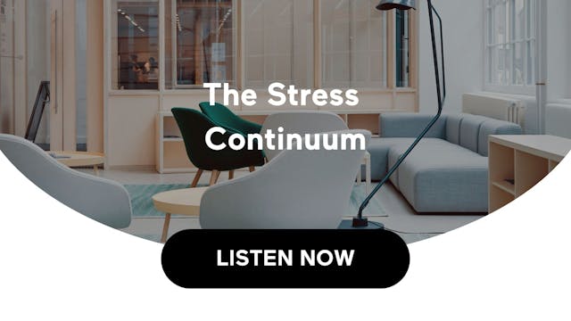 The Stress Continuum (Audio)