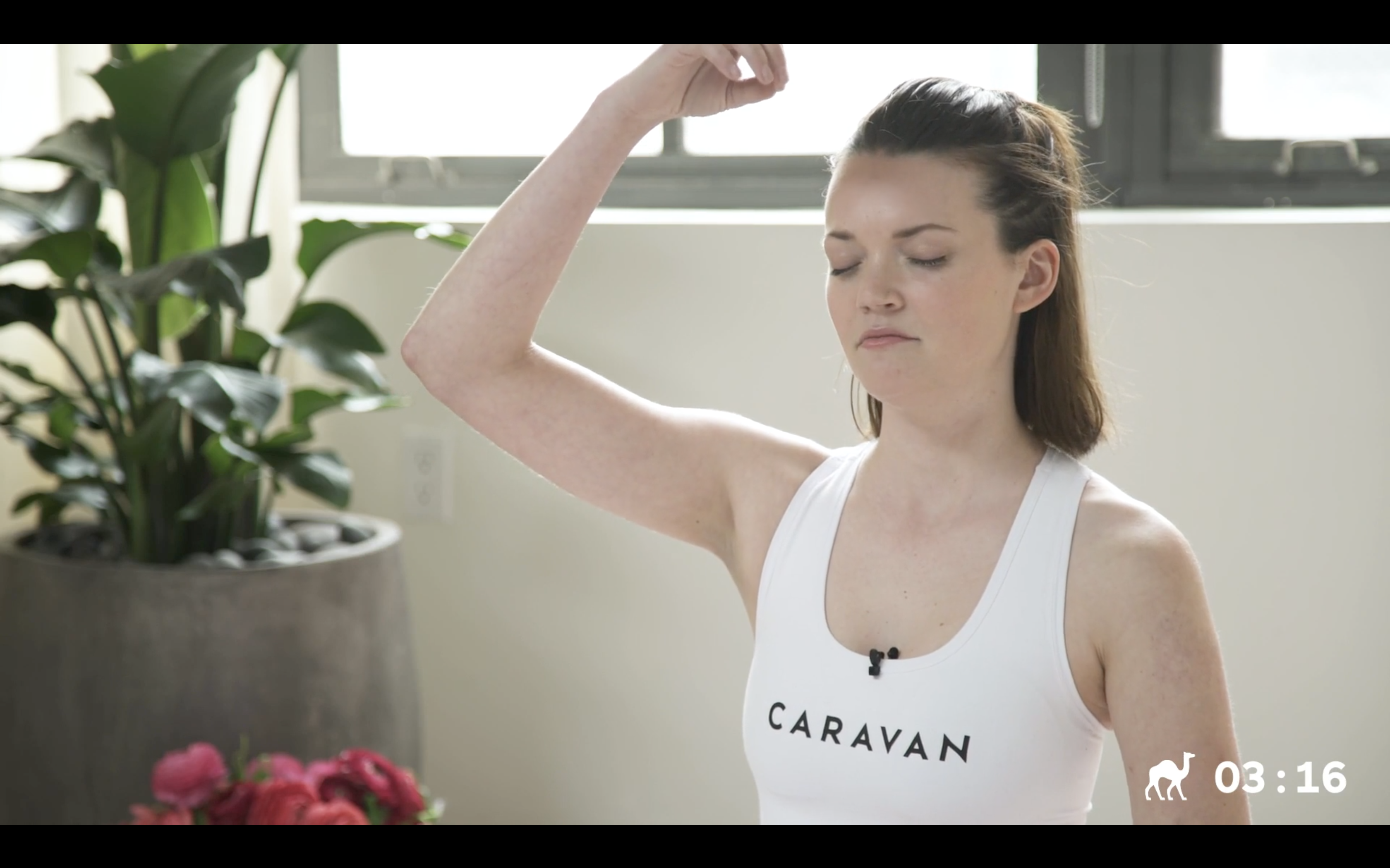 RISE: Creativity Meditation