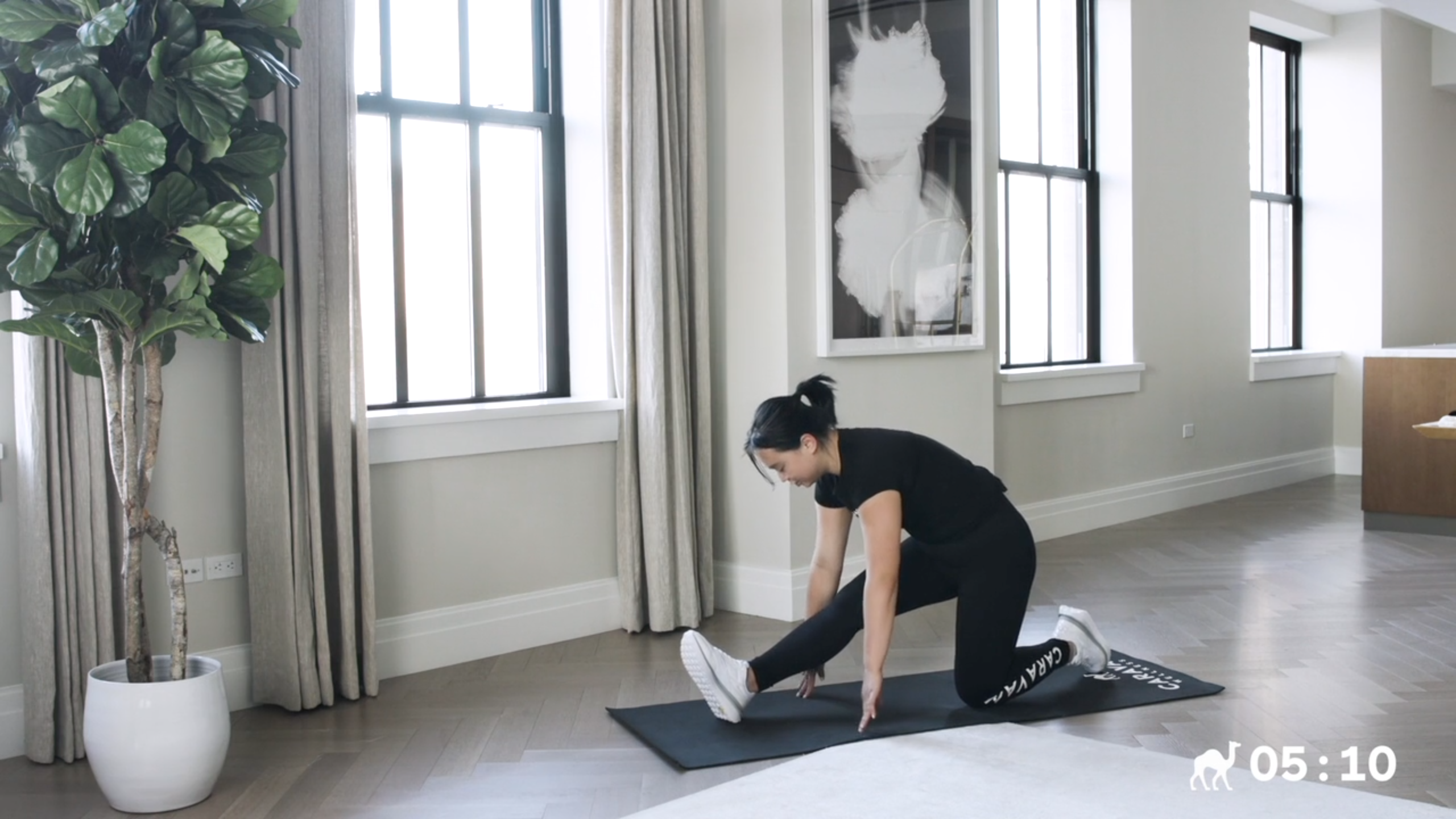 20 Min Mobility Flow