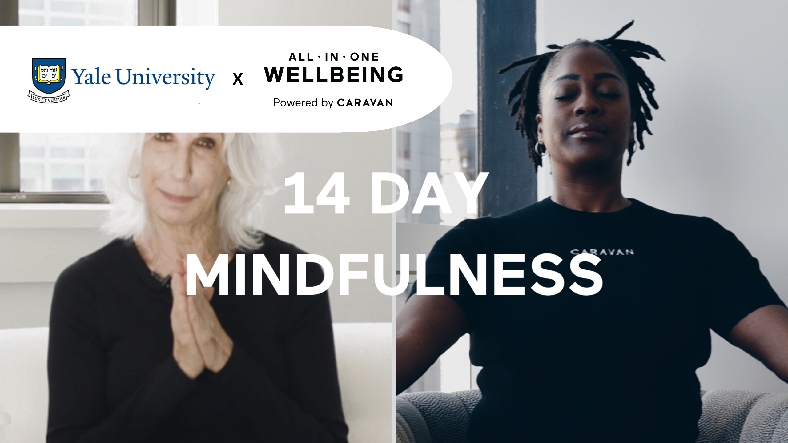 14 Day Mindfulness
