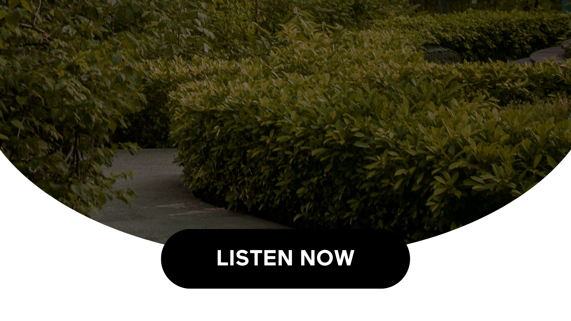 The Benefits Of Spending Time Outdoors (Audio)