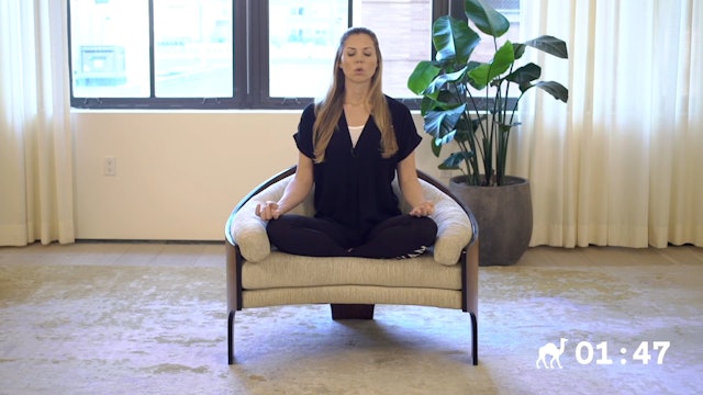 Special Today: 5 Min Inhale Focused Breath