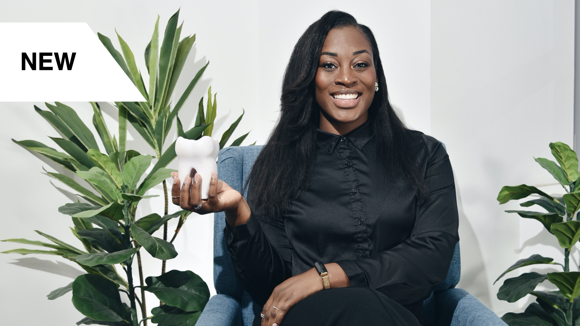 Dental Health Fundamentals