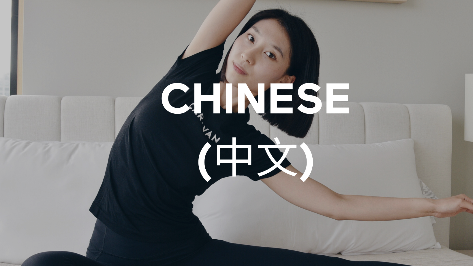 Mandarin Chinese (中文）